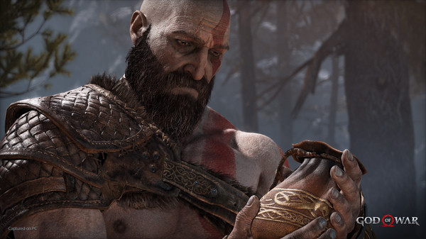 图片[6]-战神4/God of War（V1.0.13-斗战狂神-奎爷的裁决+全DLC）【70G】-玩什么YX