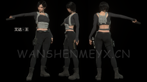 《生化危机4：重制版》艾达王兼容DLC版MOD【25】-玩什么YX