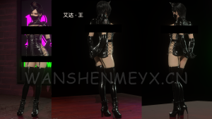 《生化危机4:重制版》艾达王兼容DLC版MOD【51】-玩什么YX