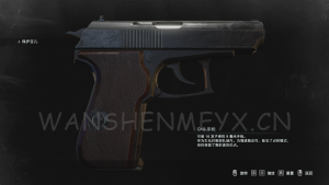 《生化危机3：重制版》G19/G18/MUPMOD【仅支持旧版本】-玩什么YX