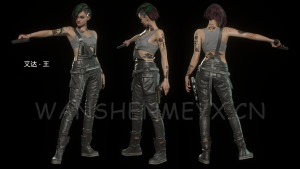 《生化危机4:重制版》艾达王兼容DLC版MOD【199】-玩什么YX