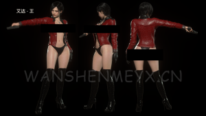 《生化危机4:重制版》艾达王兼容DLC版MOD【217】-玩什么YX