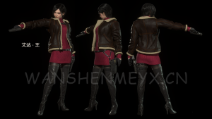 《生化危机4:重制版》艾达王兼容DLC版MOD【243】-玩什么YX