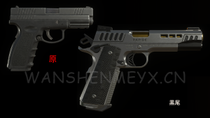 《生化危机4:重制版》黑尾惩罚者SG-09RMOD-玩什么YX