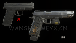 《生化危机4:重制版》黑尾Sentinel9惩罚者SG-09RMOD-玩什么YX