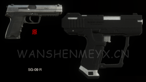 《生化危机4:重制版》SG-09MOD-玩什么YX